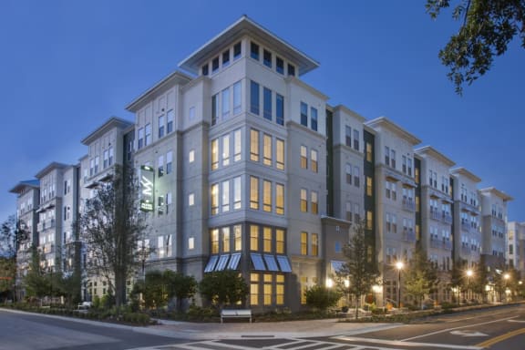 Photos and Video of The Ivy Residences at Health Village in Orlando, FL